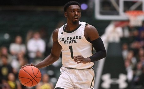 A kosárlabdázók megkezdték az alapozást, megvan az ötödik légiós is